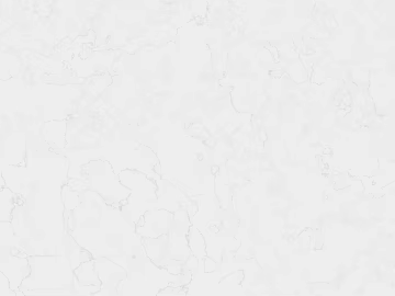 Black and White Bump texture (ID:ffajg77716)