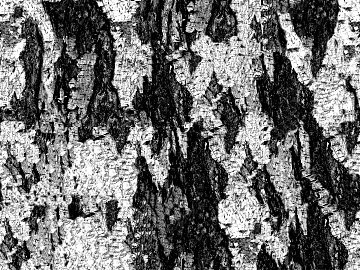 Black and White Bump texture (ID:ffaff9256)