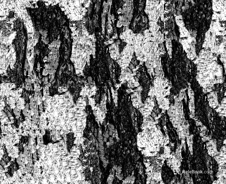 Black and White Bump texture