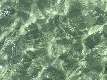 Water pattern texture (ID:ffaeg53627)