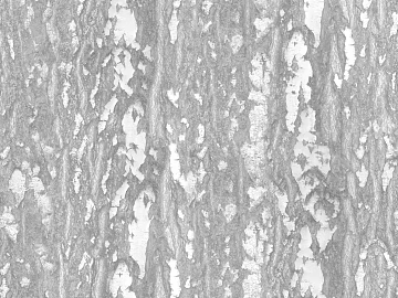 Black and White Bump texture (ID:ffabf6942)