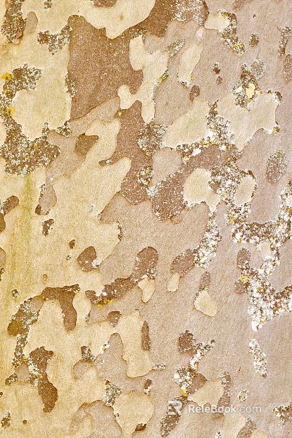 bark texture