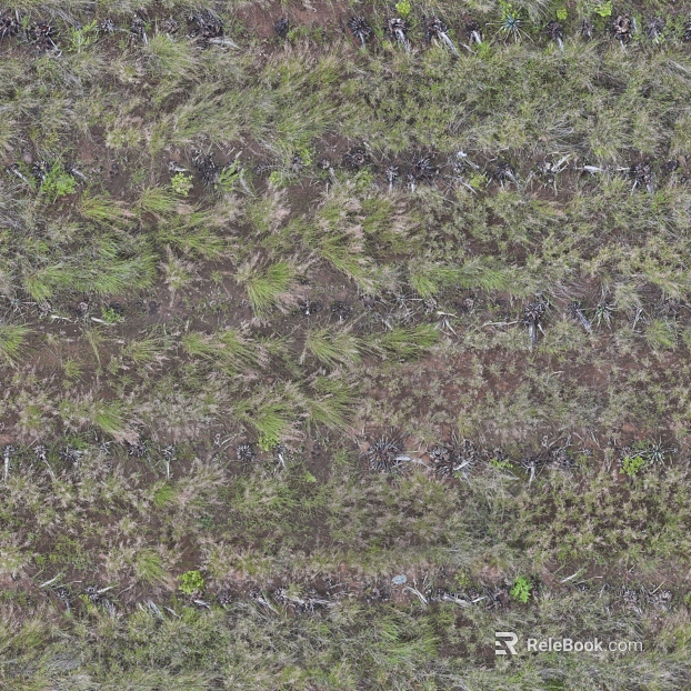 Turf ground texture
