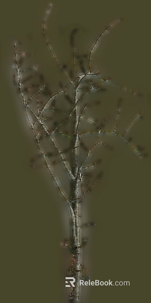 Trunk texture
