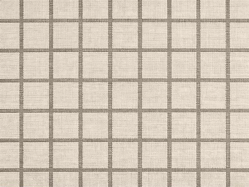 Light Beige Square-Grid Textured Rug texture (ID:ffaeh394974)
