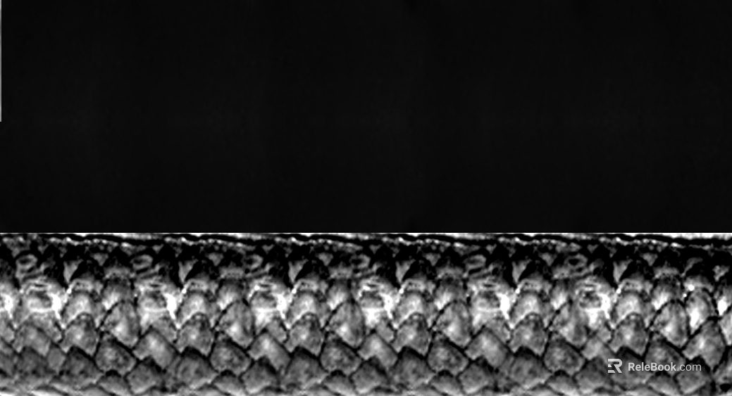 Black and White Snake Scales Animal Skin Map texture