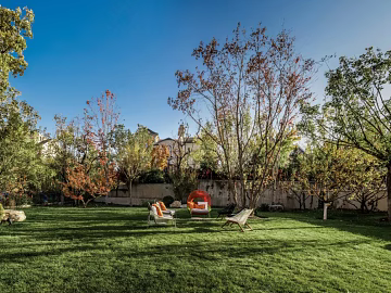 Wild Scenery texture (ID:ffagg20975)