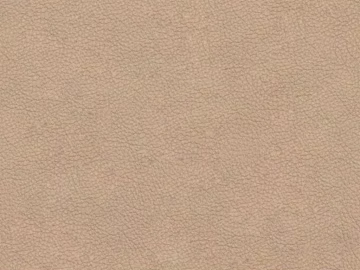 fine grain leather texture (ID:ffadg64322)