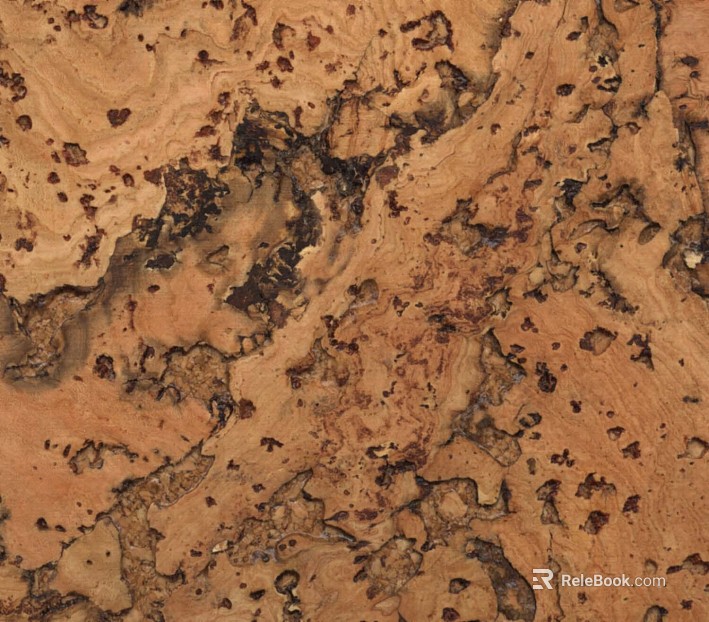 Dongshi texture