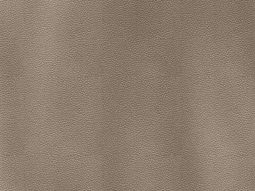 Coarse-grain leather texture (ID:ffach938685)