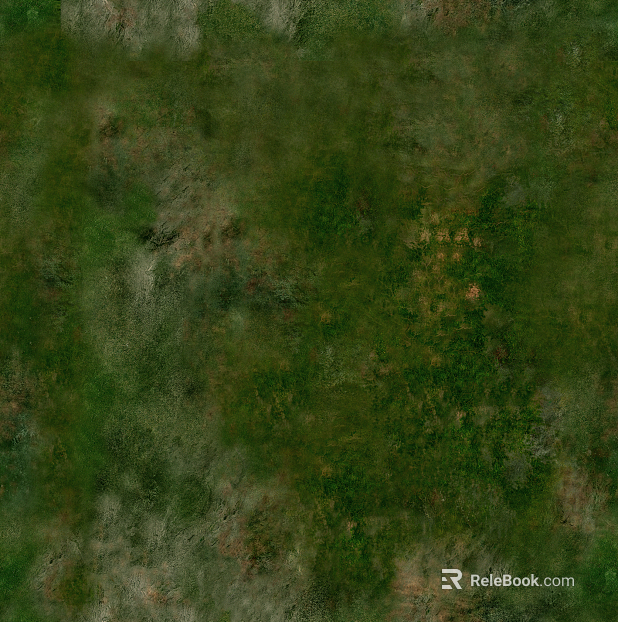 moss texture