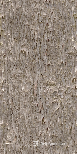 bark texture