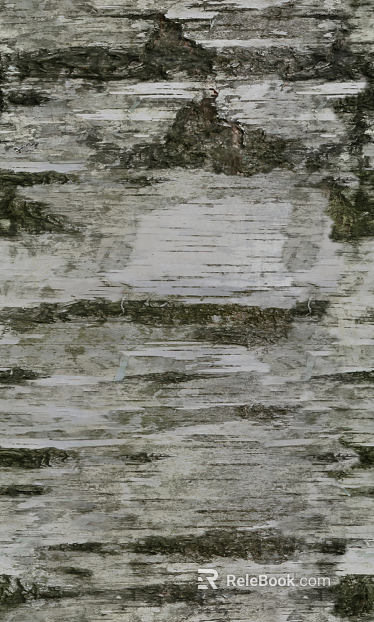 bark texture