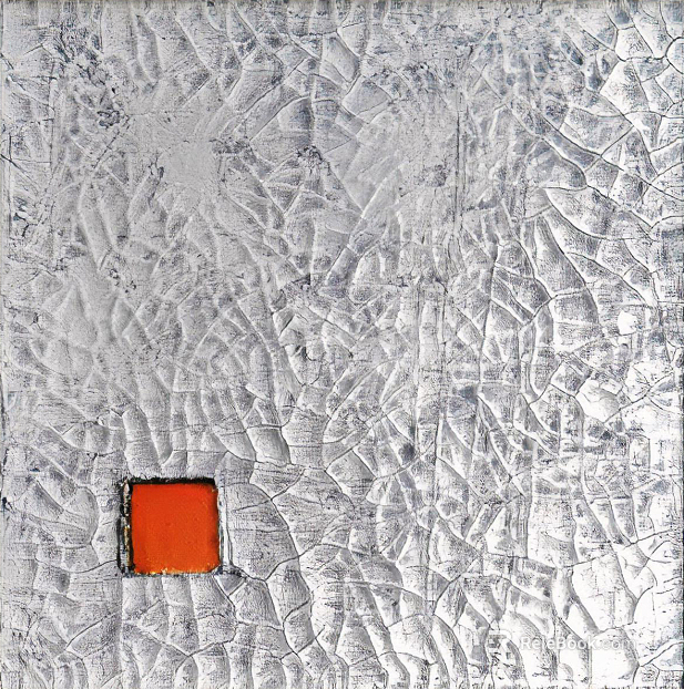 Coarse-grain leather texture