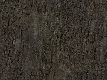bark texture (ID:ffabg78086)
