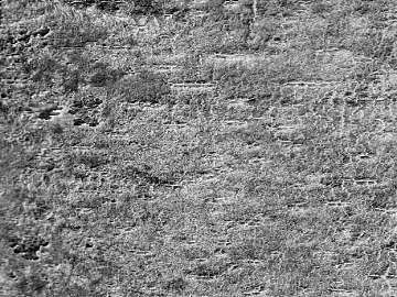 Stone texture (ID:ffhae455)