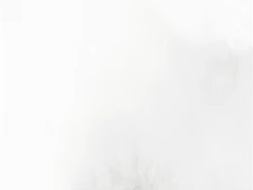 Mona Lisa Marble Slavic White Stone texture (ID:ffabg09700)