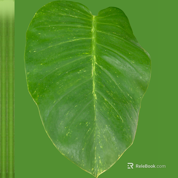 leaves texture