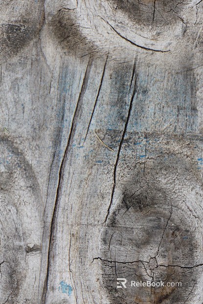 annual rings texture