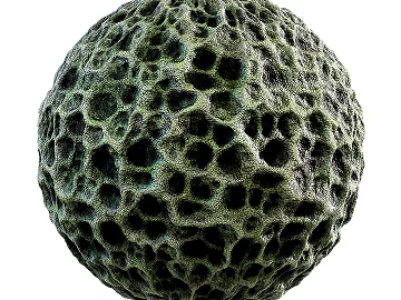 Biological Fur PBR texture (ID:ffach059994)