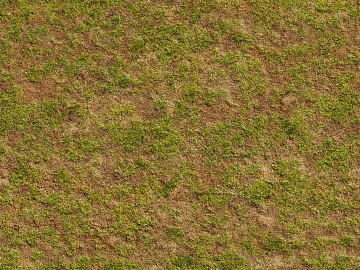 Grassland Ground Soil Pavement Mountain Plants Grass texture (ID:ffaeh454767)