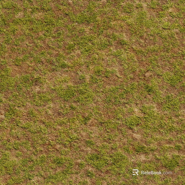 Grassland Ground Soil Pavement Mountain Plants Grass texture