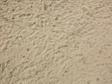 Beach texture (ID:ffaag83280)