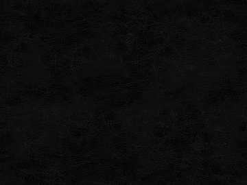 Coarse-grain leather 3d model