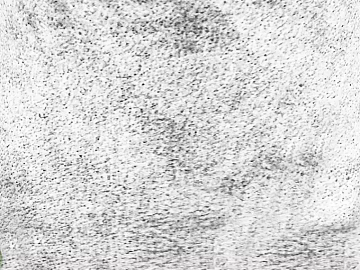 Black and White Bump texture (ID:ffajg78991)