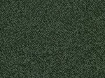 fine grain leather texture (ID:ffaeg21924)