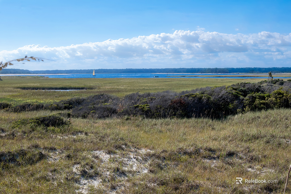 Wild Scenery texture