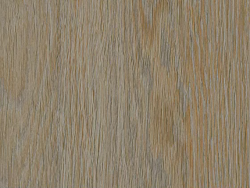 Light Yellow Original Wood Grain Interior Wall Floor 3d model