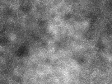 Highlight Mask texture (ID:ffacg30132)