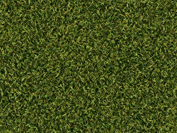 Turf texture (ID:ffagg85157)