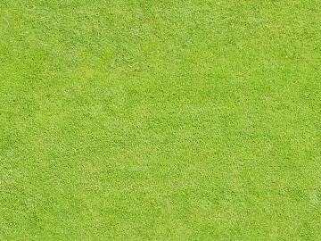 Turf texture (ID:ffacg95842)