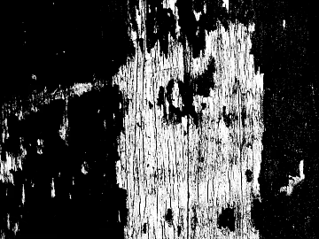 Black and White Bump Wood Grain Black and White Bump texture (ID:ffach755384)