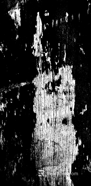 Black and White Bump Wood Grain Black and White Bump texture