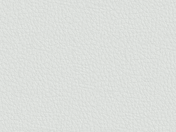 Coarse-grain leather 3d model