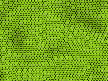 animal skin 3d model