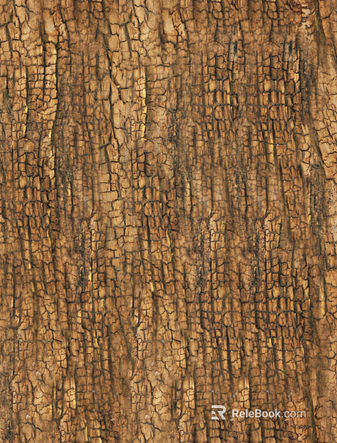 bark texture