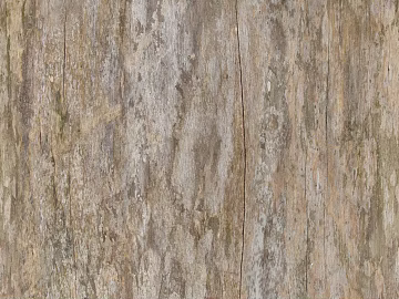ancient tree bark texture (ID:ffhee355)