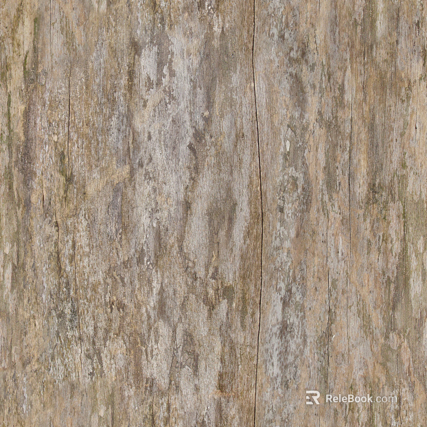 ancient tree bark texture