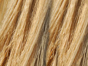 animal fur texture (ID:ffaag05964)