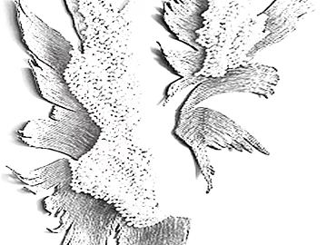 Black and White Bump texture (ID:ffaeg36305)