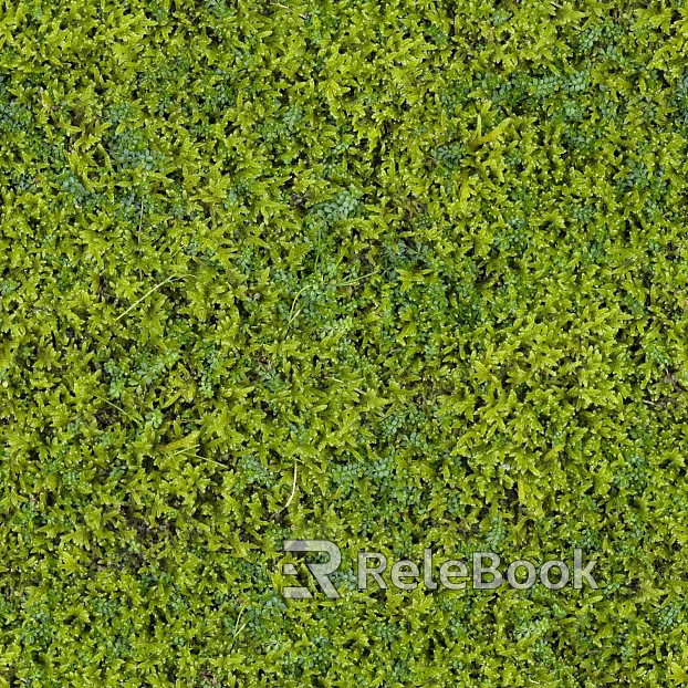 moss texture