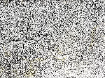 Concrete texture (ID:ffaag88312)