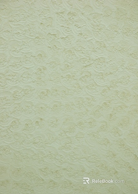 Paint texture