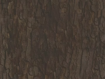 bark texture (ID:ffaaf5188)