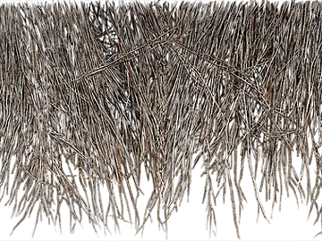 Plants texture (ID:ffaeg68333)