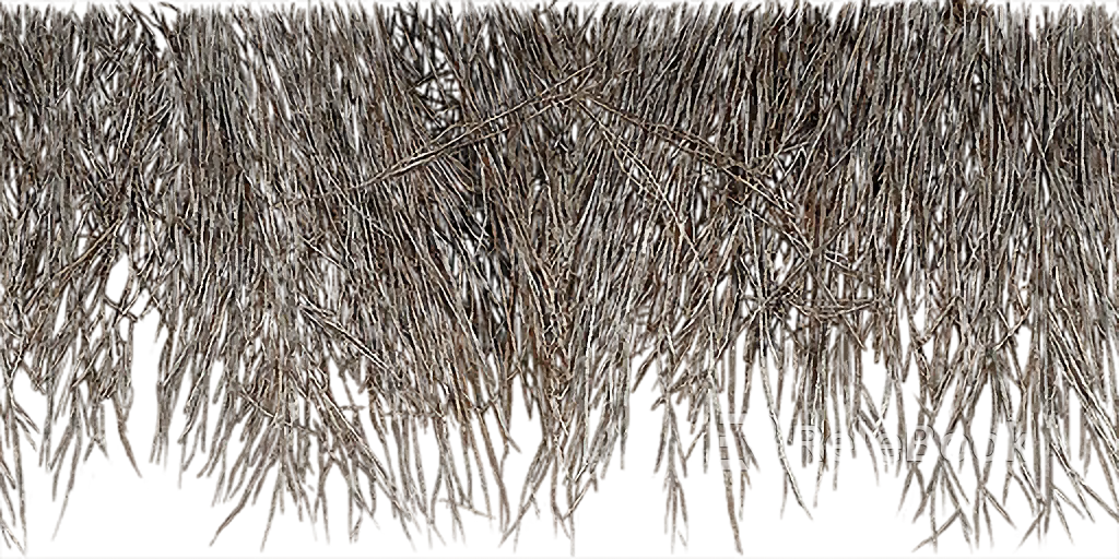 Plants texture